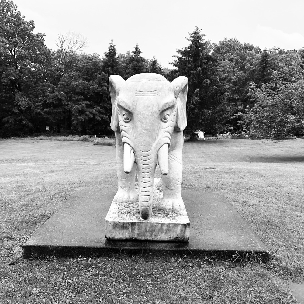 Meet your Posher, Domion